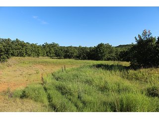 Property photo 17 - LAND AUCTION - 440+/- ACRES OFFERED IN 17 TRACTS IN OSAGE CO., OKLAHOMA